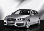 Audi S3 2006 года (WW)